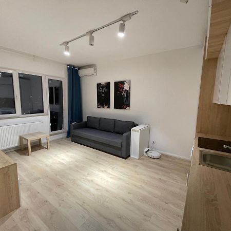Amethyst Luxury Apartment Palace Bukareszt Zewnętrze zdjęcie