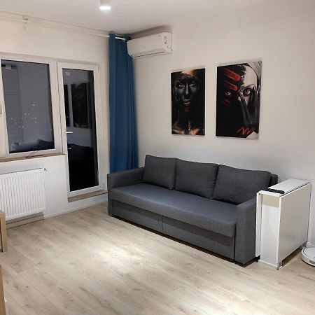 Amethyst Luxury Apartment Palace Bukareszt Zewnętrze zdjęcie